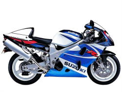 TL 1000 S,R