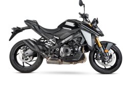 GSX-S 1000 / GSX-S 1000 GT / GSX-S 950  2021-