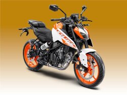 250 Duke 2024-