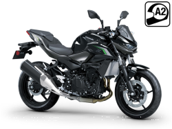 Z 500 2024-