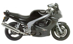 Sprint ST 955i