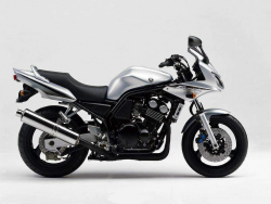 FZS 600 Fazer