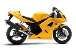 Daytona 600 - 650