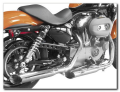 Eagle Series Slipon Road Legal/EEC/ABE homologated  Harley Davidson Softail TC96 Softail Springer 07-13 in chrome