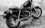 Eagle M7 Dyna  Bj. 1995- 2005 Slash-Cut Edition 2in1...