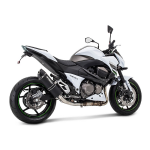 SPEEDPRO COBRA SC3 Slip-on mit EG-ABE Honda CBR 600 F4 + F4i