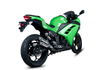 SPEEDPRO COBRA Urban Series Slip-on mit EG-ABE Kawasaki...