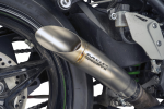 MGP-S1R Shorty Slash Slip-on Ducati Diavel