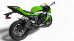 SPEEDPRO COBRA SPX  RACE Slip-on Kawasaki ZX-6R / RR Ninja