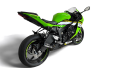 SPEEDPRO COBRA SPX BlackSeries RACE Slip-on Kawasaki ZX-6R / RR Ninja